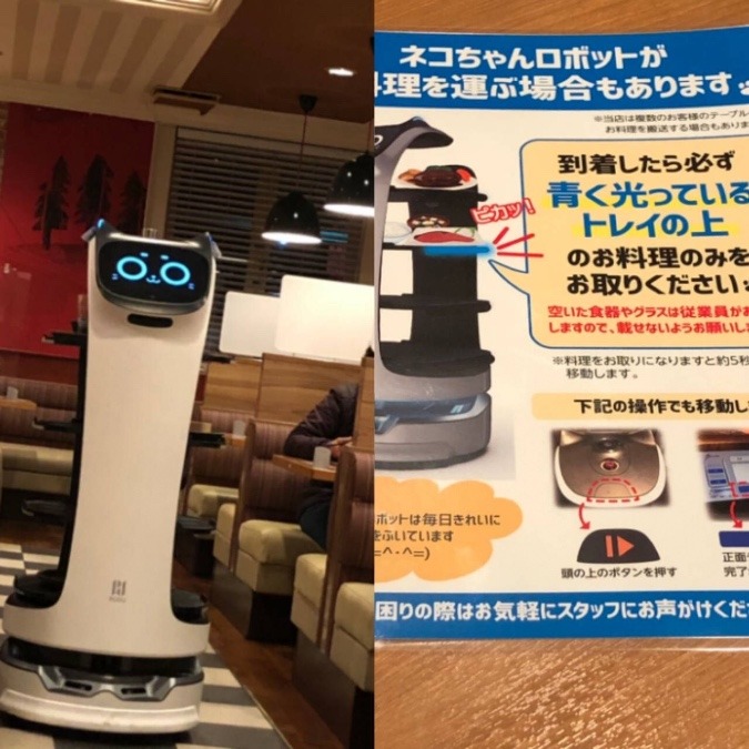 ネコちゃんロボット