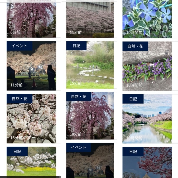 各地のお花🌸🌷🌳🌹🌸