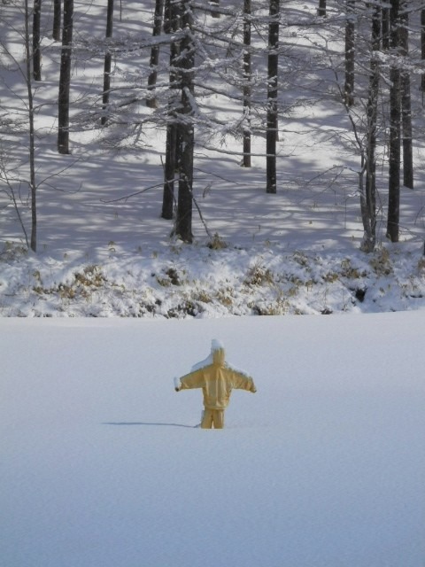 雪の中のかかし