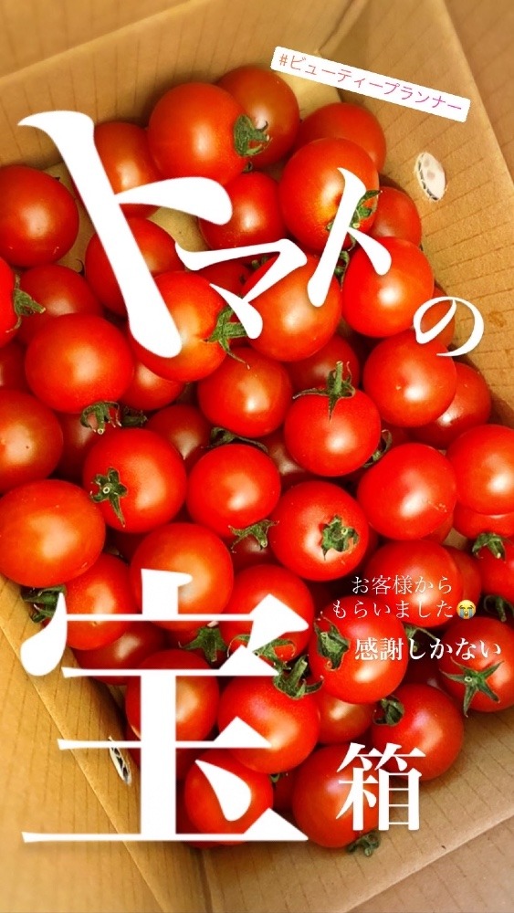 トマト🍅