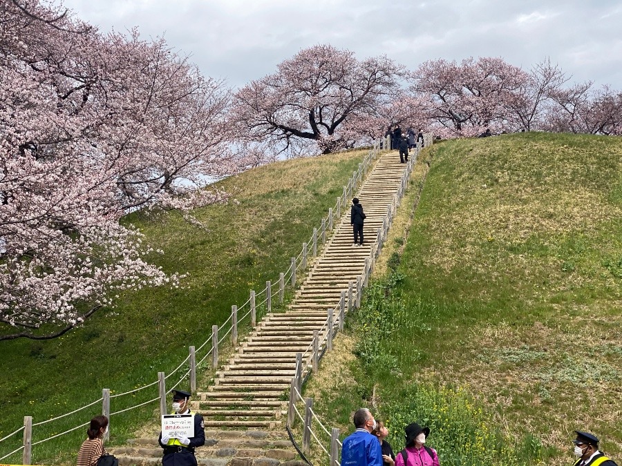 古墳の上では…