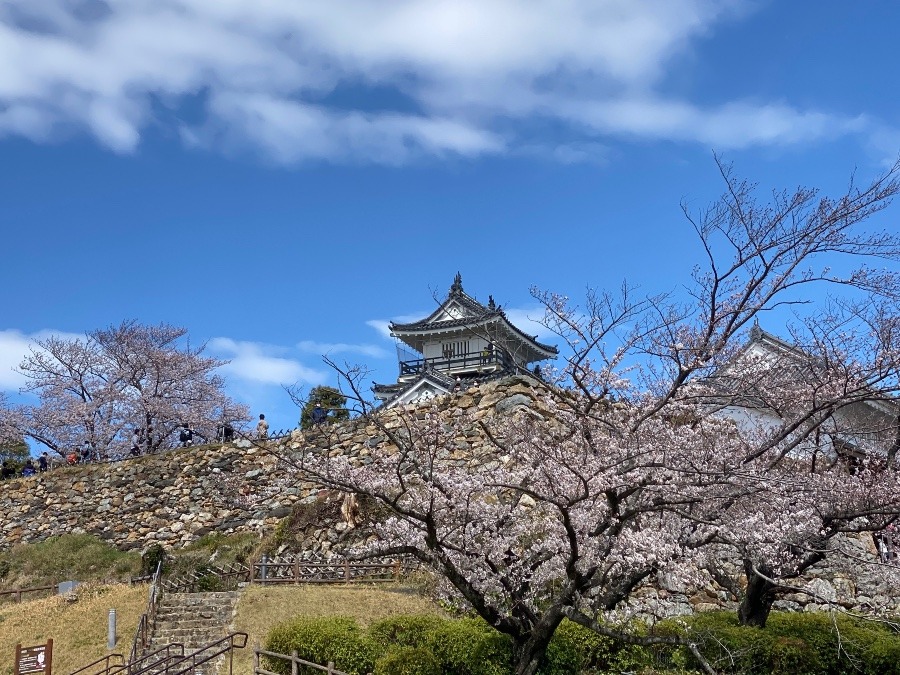 我が町のお城