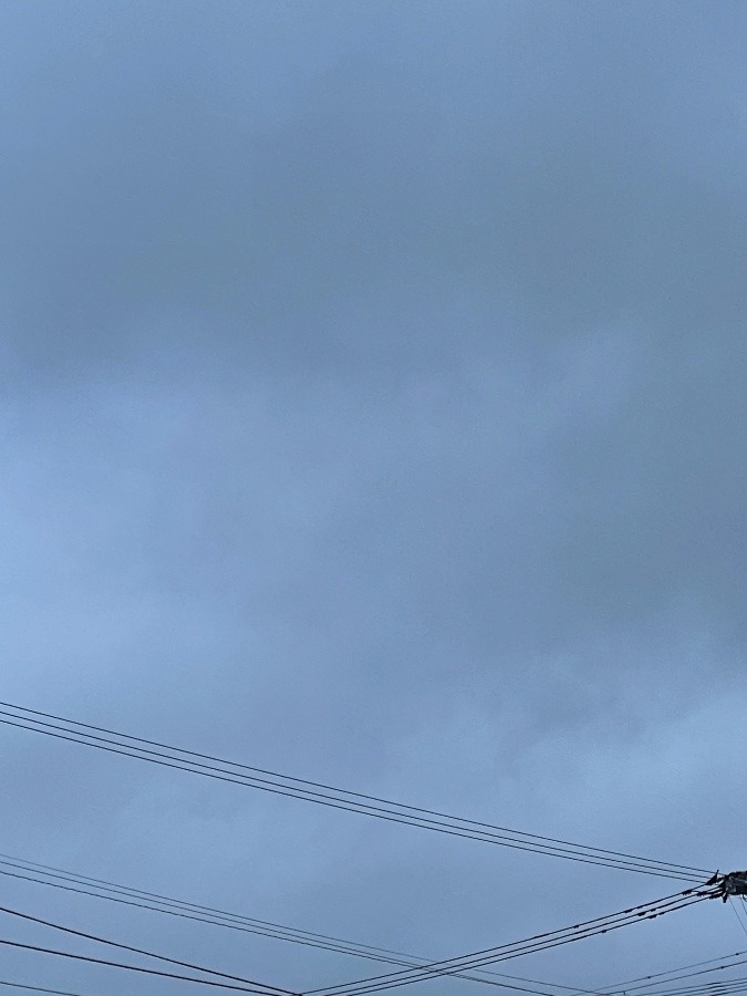家からの空