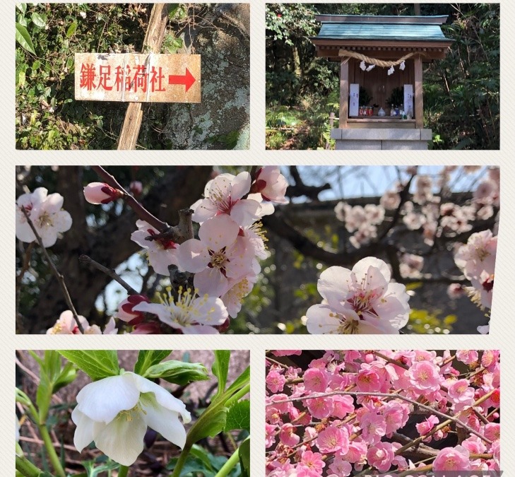 初めての神社に参拝