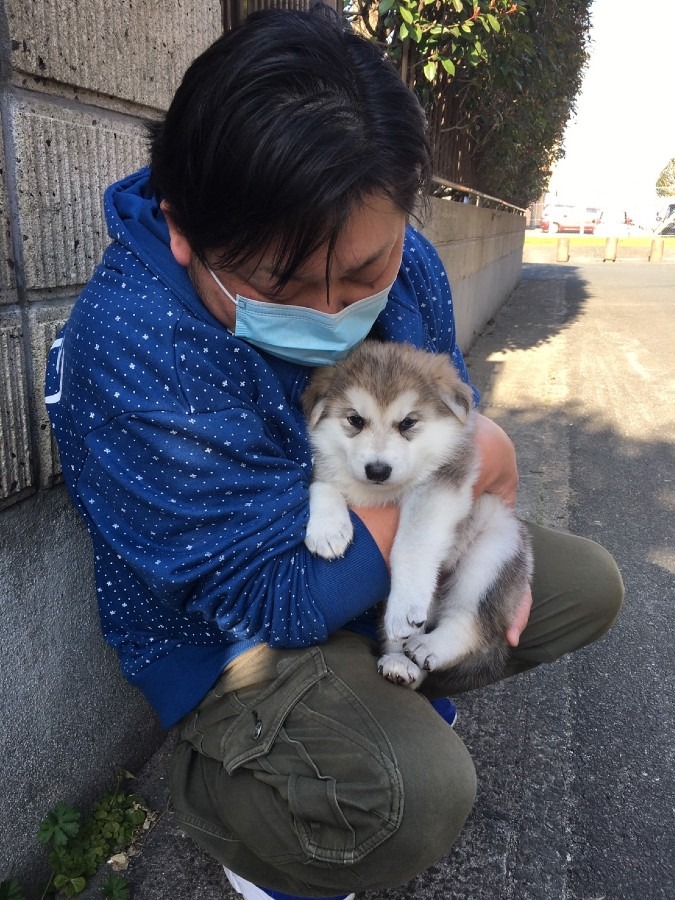 おおかみ犬🎵