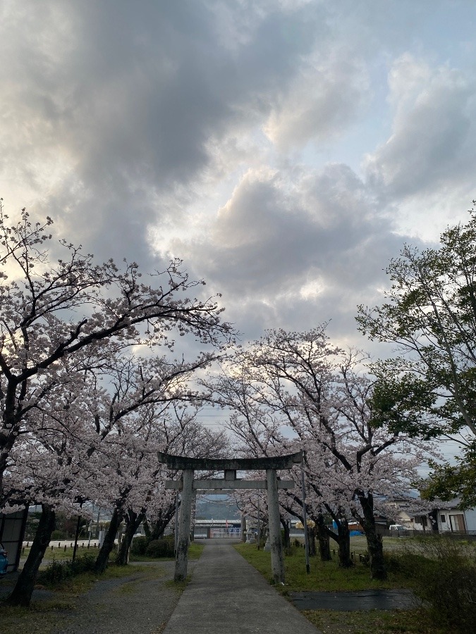 今朝の空