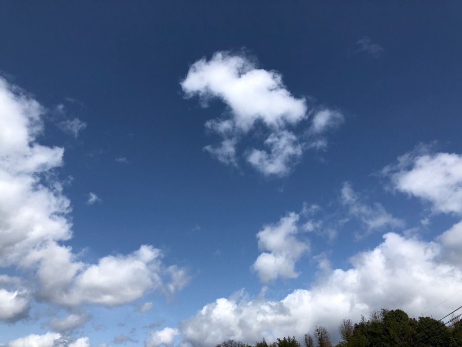 雨上がりの空