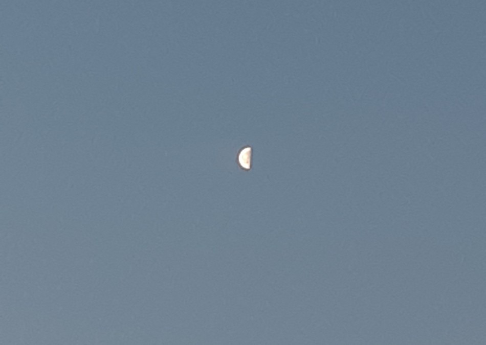 月❣️綺麗です( ˶˙ᵕ˙˶ )