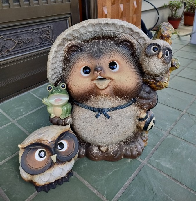 タヌキとフクロウ🦉