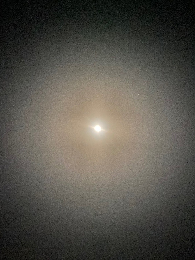 今晩のお月さま