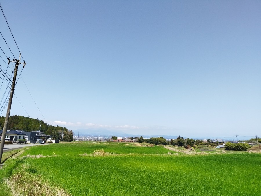 都城市　☀️朝から晴れてます🙂