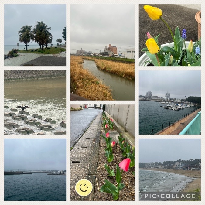 今日の朝活☔️