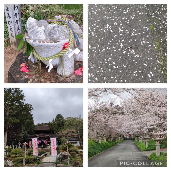 鰐鳴八幡宮（ワニなき）⛩️