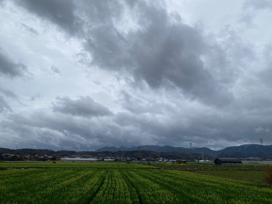 今朝の空