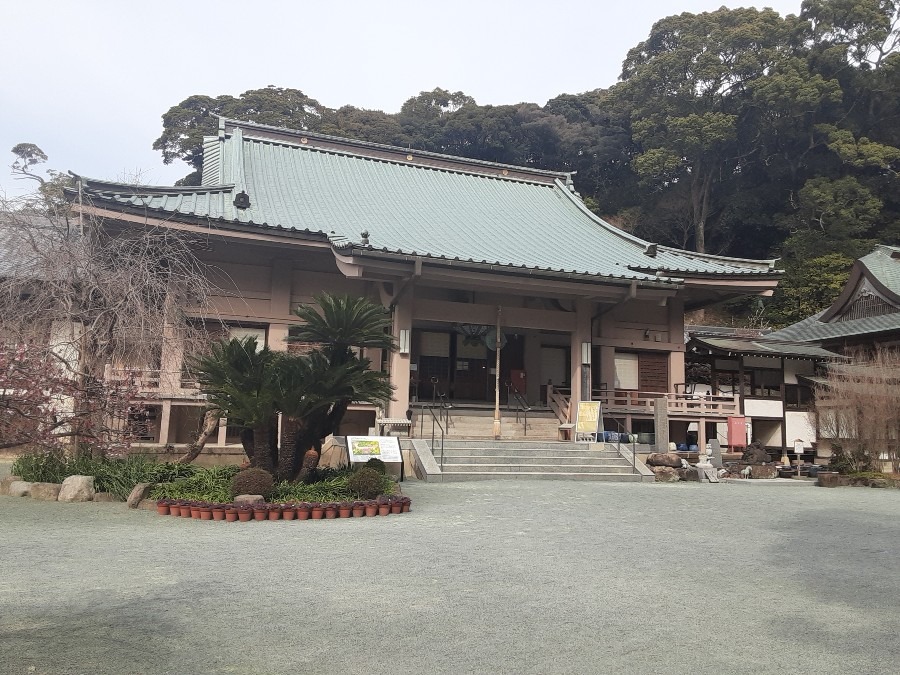 鎮国寺( ˶˙ᵕ˙˶ )🍀*゜本堂❣️