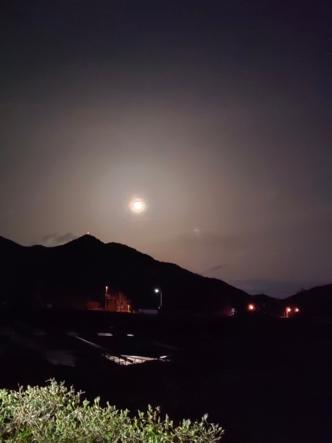 今夜は立待月🌕