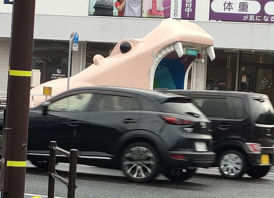 カバに吸い込まれる車🚙