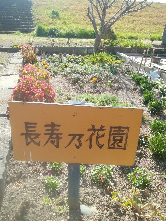 長寿乃花園