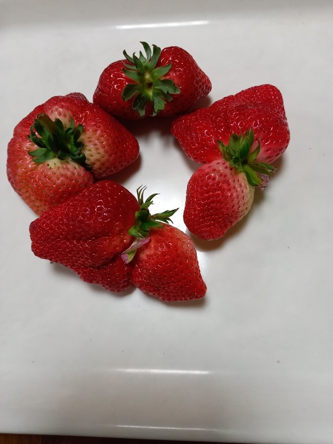 これでもイチゴ🍓です。