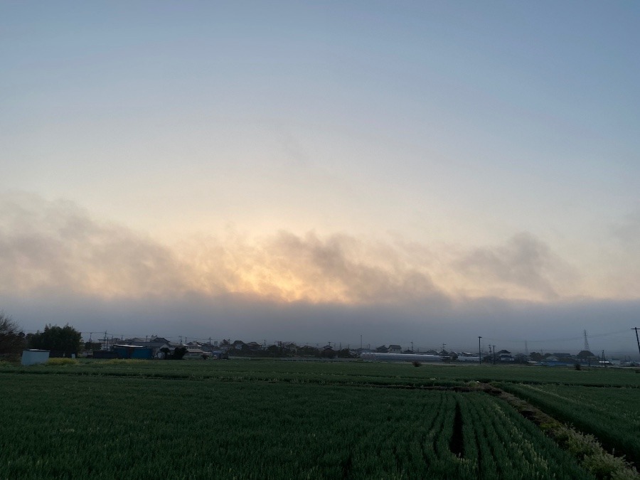 今朝の空♡