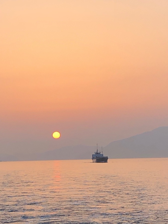 今日の夕陽