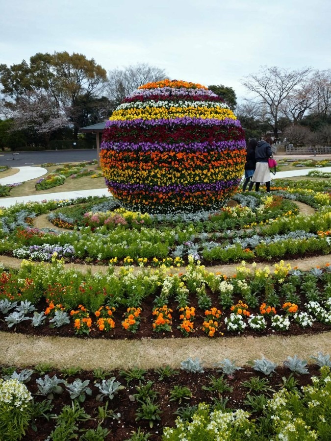 熊本花博   江津湖会場1