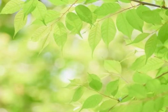 自律神経を整えるための生活習慣