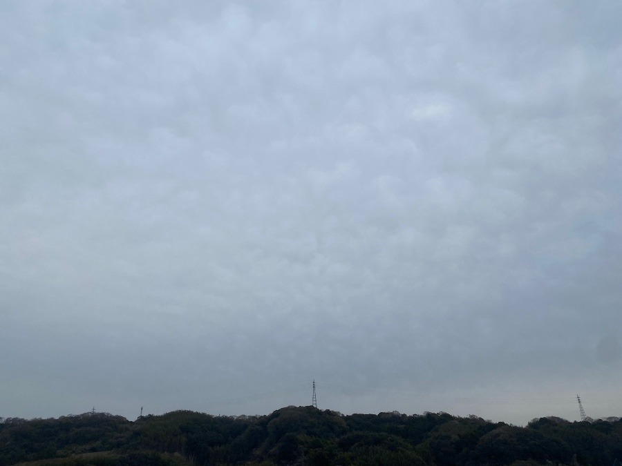 今朝の空♡