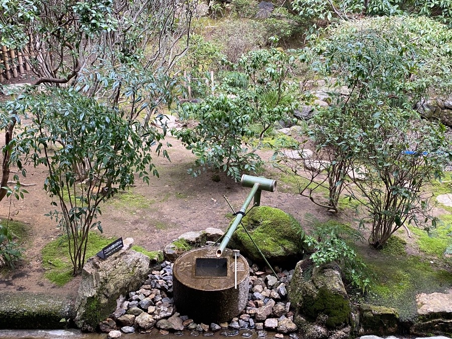 瀧安寺来ました❗️吾れ唯だ足れを知る