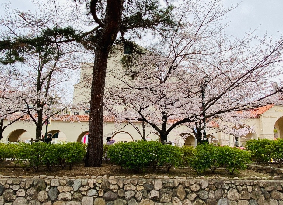 Takarazuka