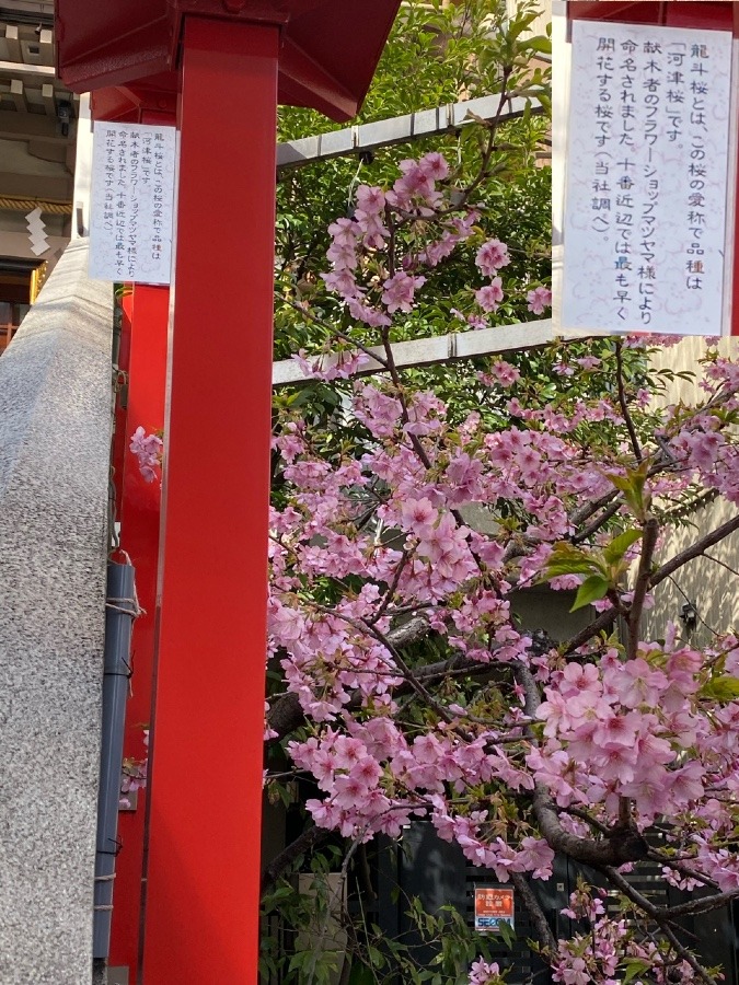 麻布十十番稲荷神社