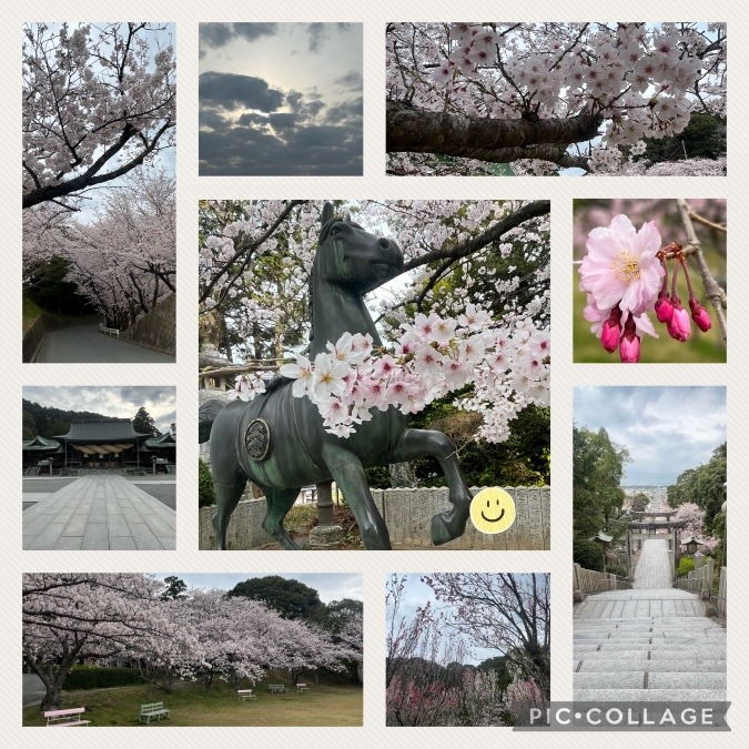 今日の朝活☁️