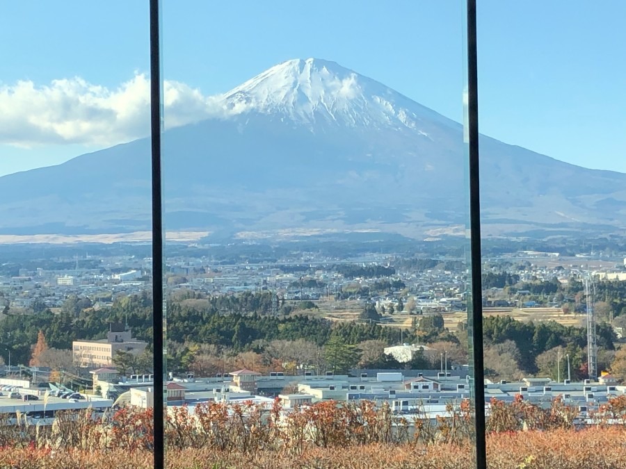 HOTEL CLADからの富士山