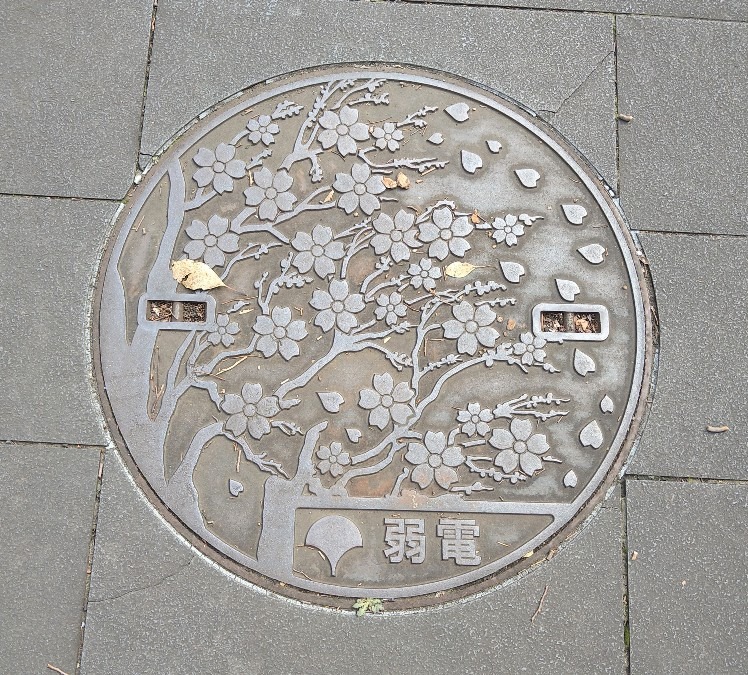 上野のマンホールの蓋も桜🌸