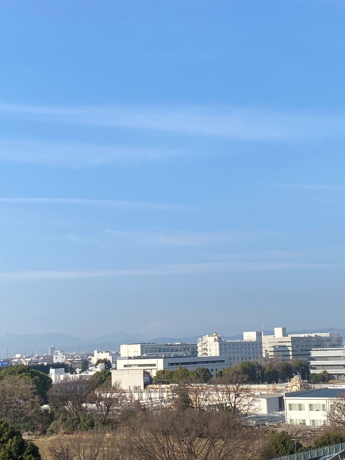 ３月１０日　富士山