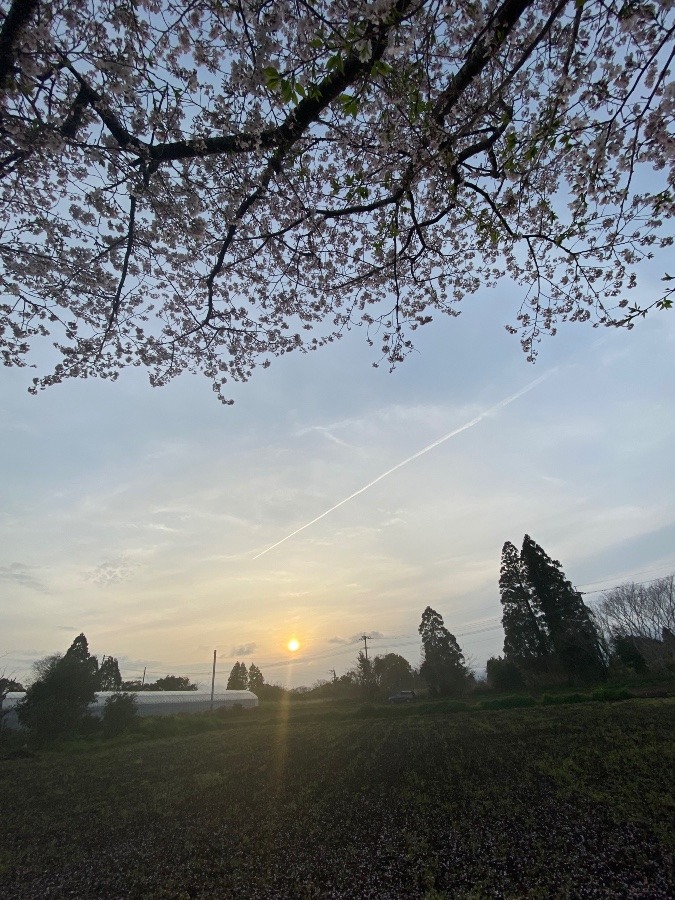 今日の夕陽✨