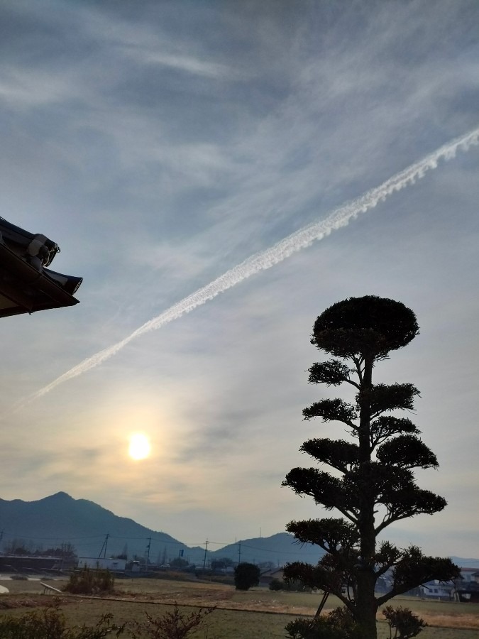 朝日と飛行機雲🌄