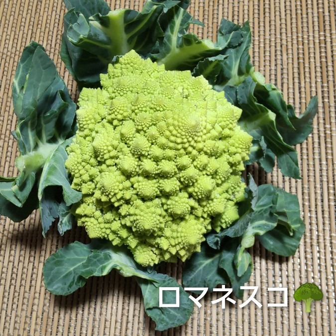 おしゃれ野菜🥦デコラティブな🤗