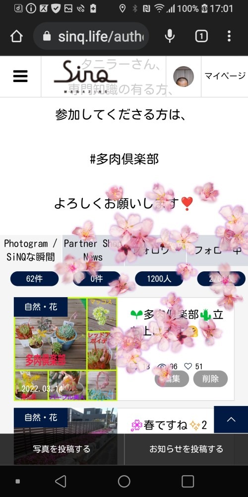 皆さま有り難うございます😌💖フォロワーさん1200人到達しました🙂