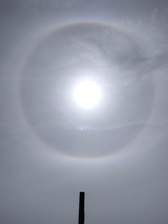 日暈（ひがさ）発見☀️