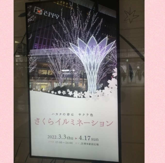 桜イルミネーション博多駅