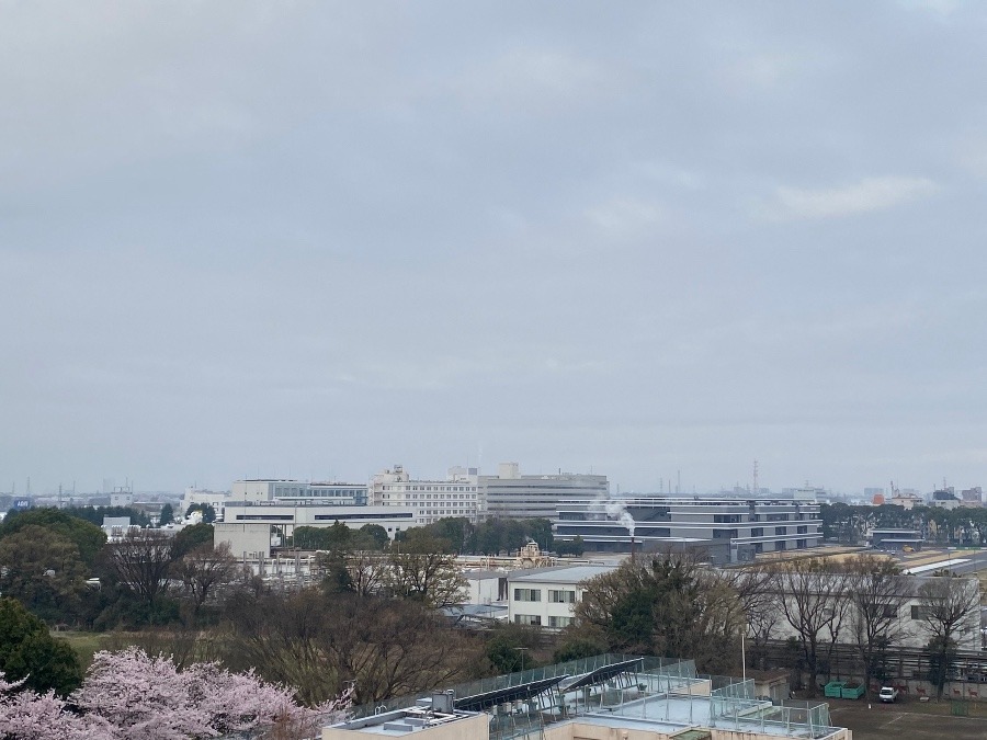 今朝の富士山