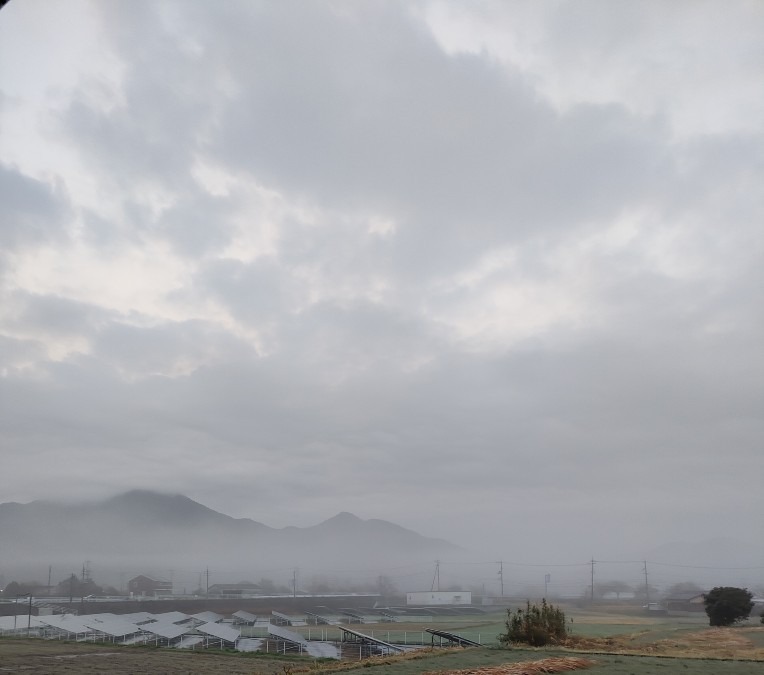 3/24の空🌥️