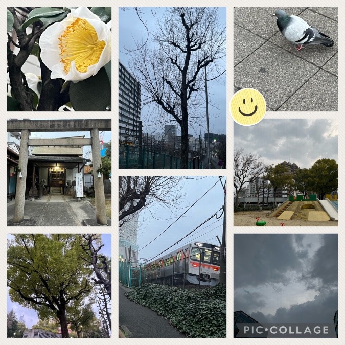 今日の朝活⛅️