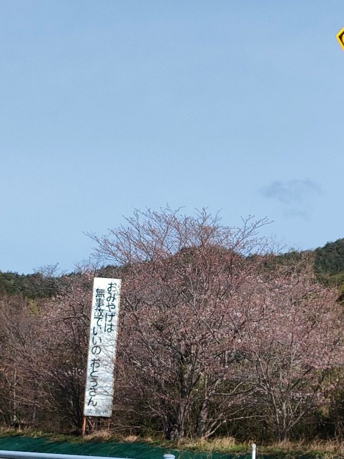 おみやげは無事故でいいのおとうさん🌸