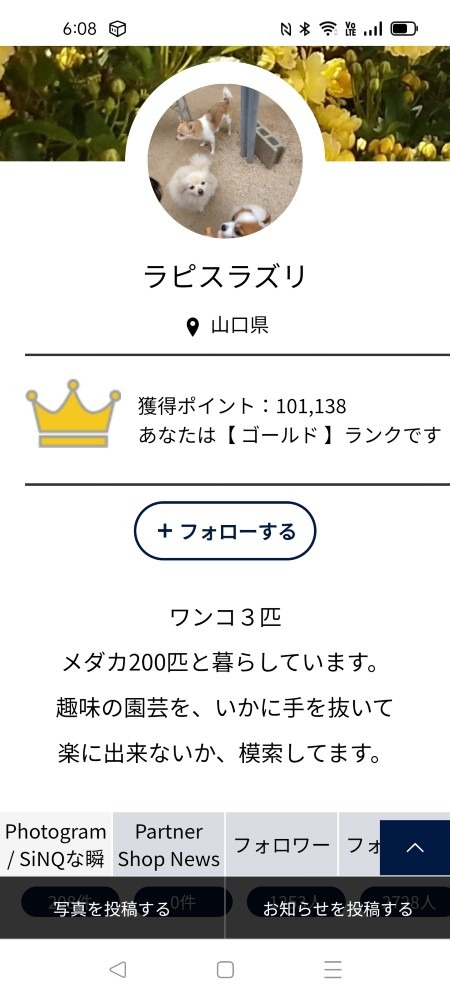 お陰様で100000ポイント達成しました🤗