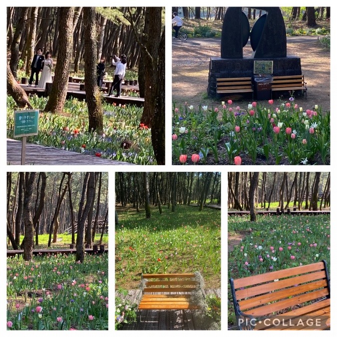 あの時の可愛いベンチ🌷