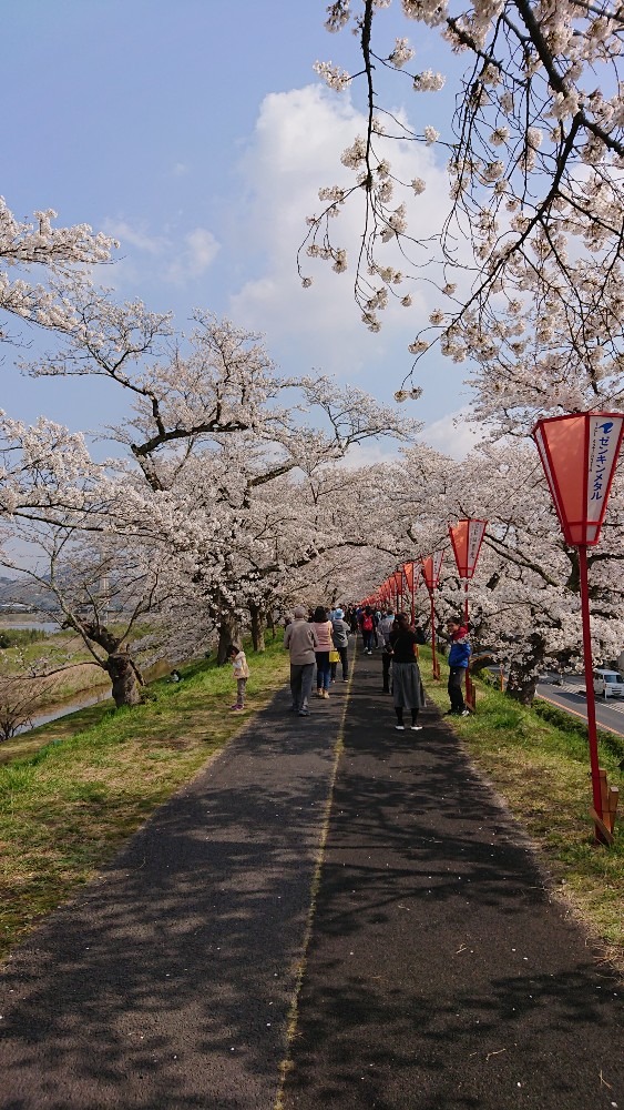 木次の桜🌸祭り2019