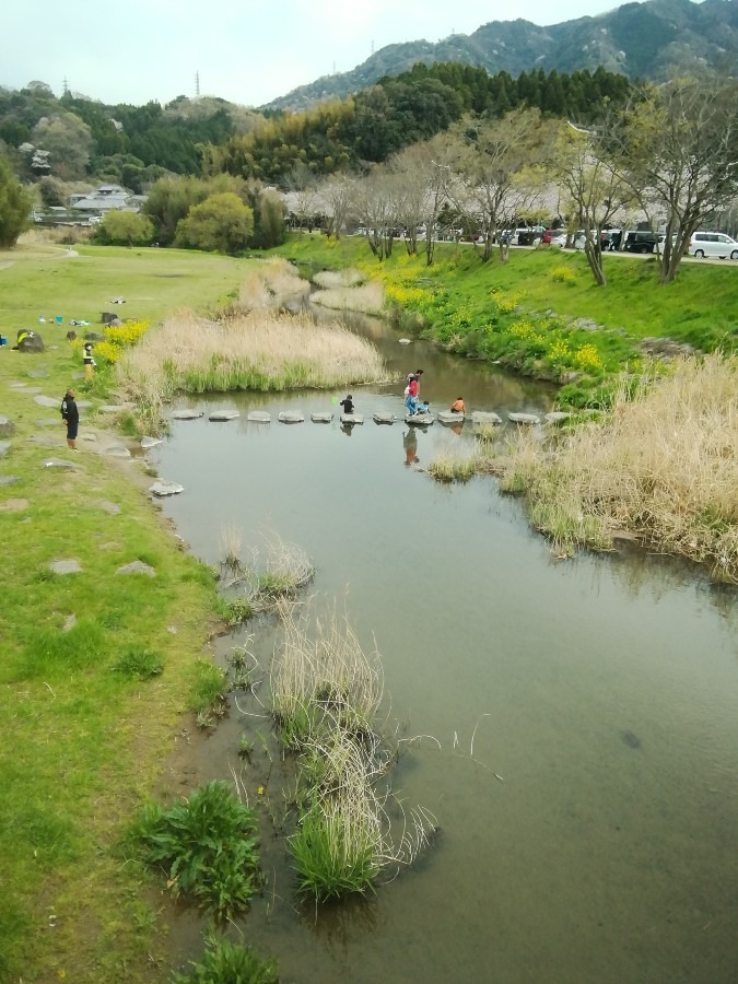 七瀬川公園①