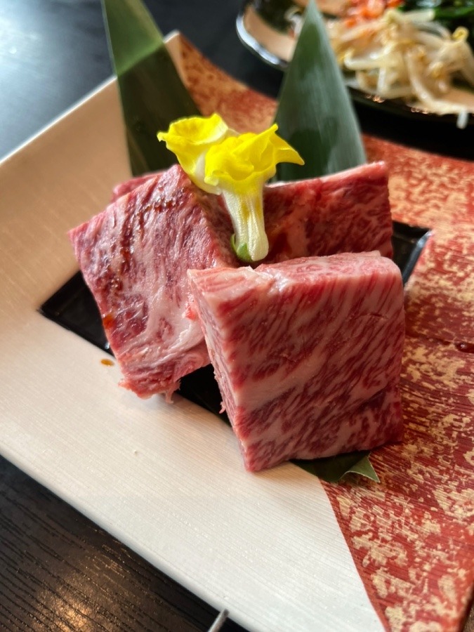 めちゃくちゃ美味しい焼き肉